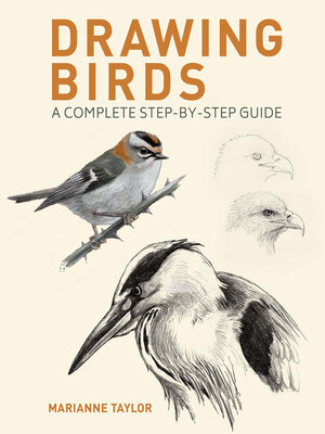 Drawing Birds - ebook